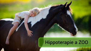 4. díl - Hippoterapie a ZOO